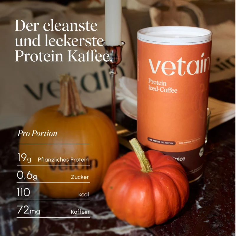 Vegan Protein Iced-Coffee Pumpkin Spice (540g/BIO)