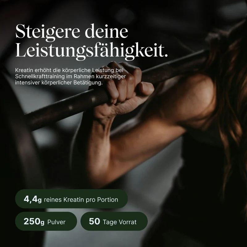 Vegan Muscle Performance Bundle