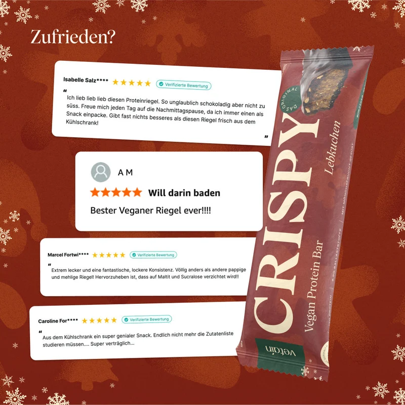 CRISPY veganer Proteinriegel - Lebkuchen (12er Pack)