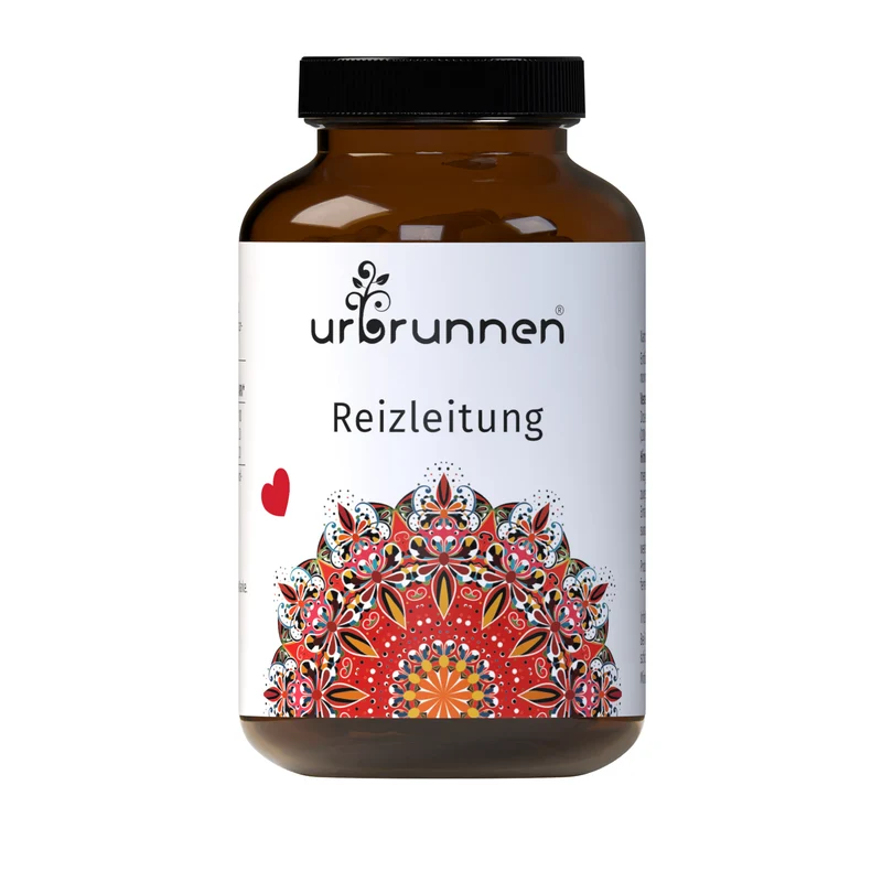 Urbrunnen Reizleitung