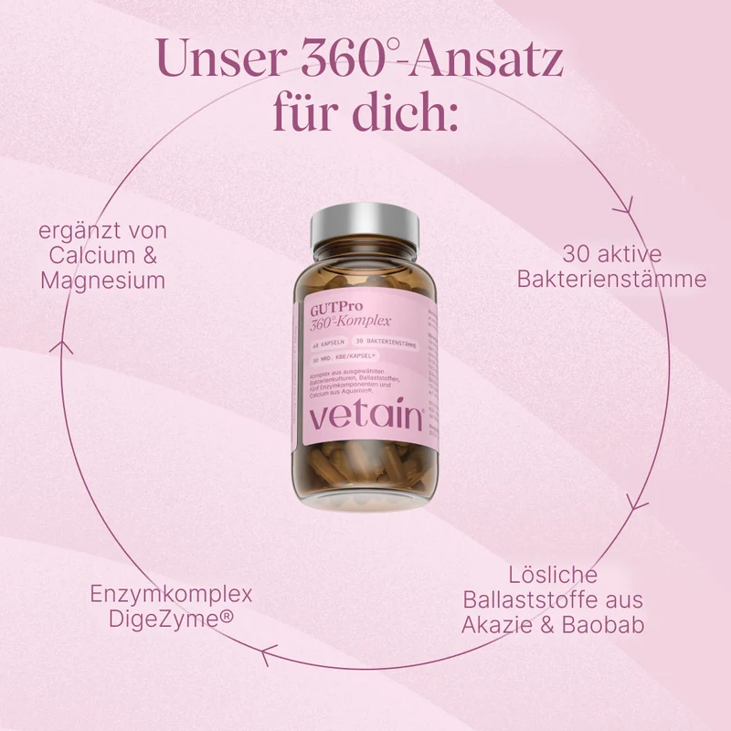 GUTPro 360° Komplex (60 Kapseln)