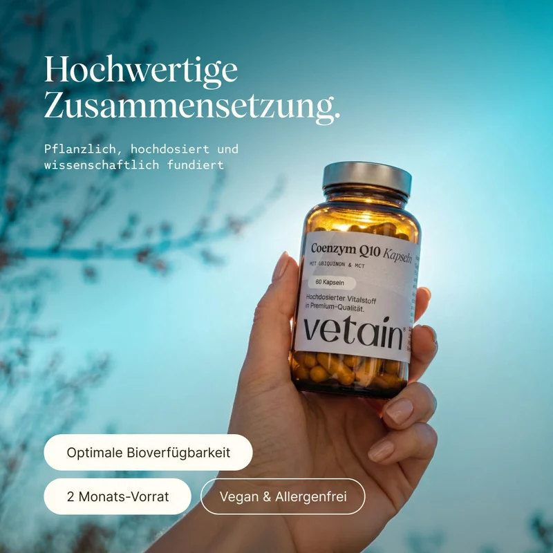 Coenzym Q10 Kapseln (60 Kapseln)
