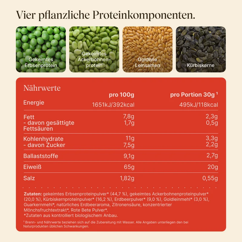 Vegan Protein Erdbeere (540g/BIO)
