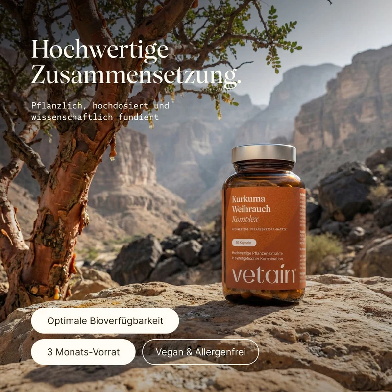 Kurkuma Weihrauch Komplex (90 Kapseln)