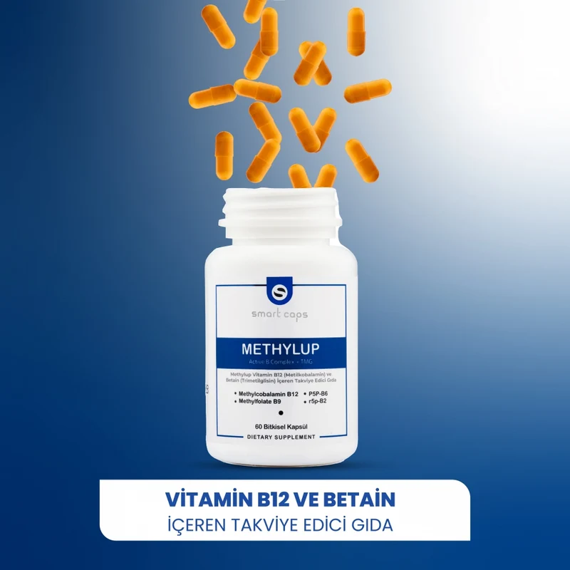 Actieve Vitamine B Complex en TMG (60 Vegetarische Capsules)