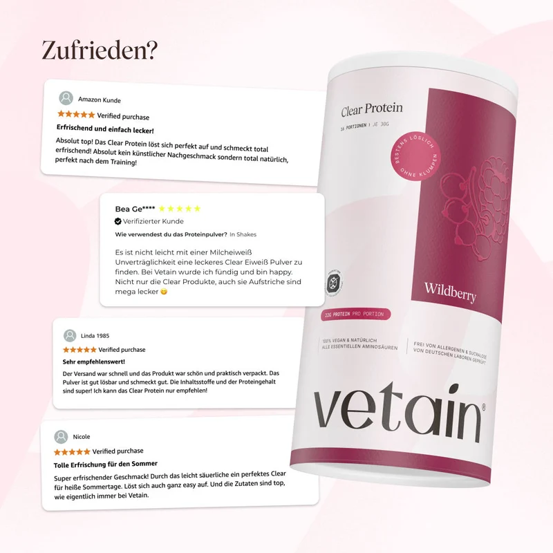 Vegan Clear Protein Wildberry (480g)