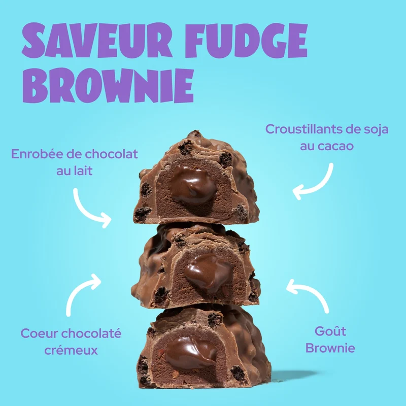 Fudge Brownie