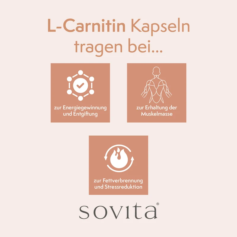 sovita L-Carnitin Kapseln