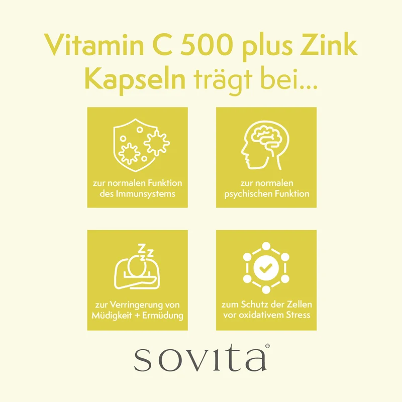sovita Vitamin C 500 Plus Zink Kapseln