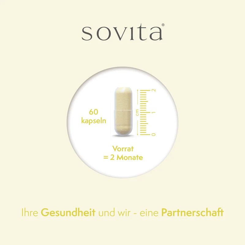 sovita Vitamin C 500 Plus Zink Kapseln