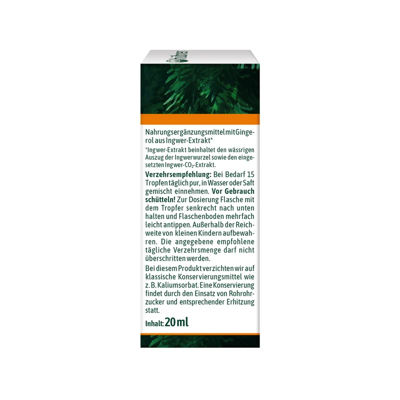 Hübner Ingwer Tropfen BIO (20 ml)