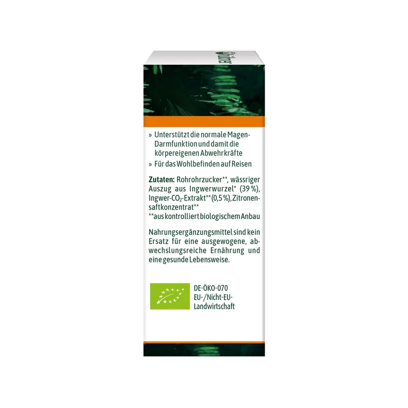 Hübner Ingwer Tropfen BIO (20 ml)
