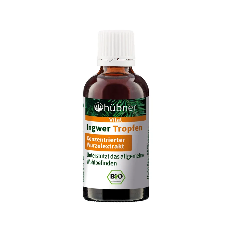 Hübner Ingwer Tropfen BIO (20 ml)
