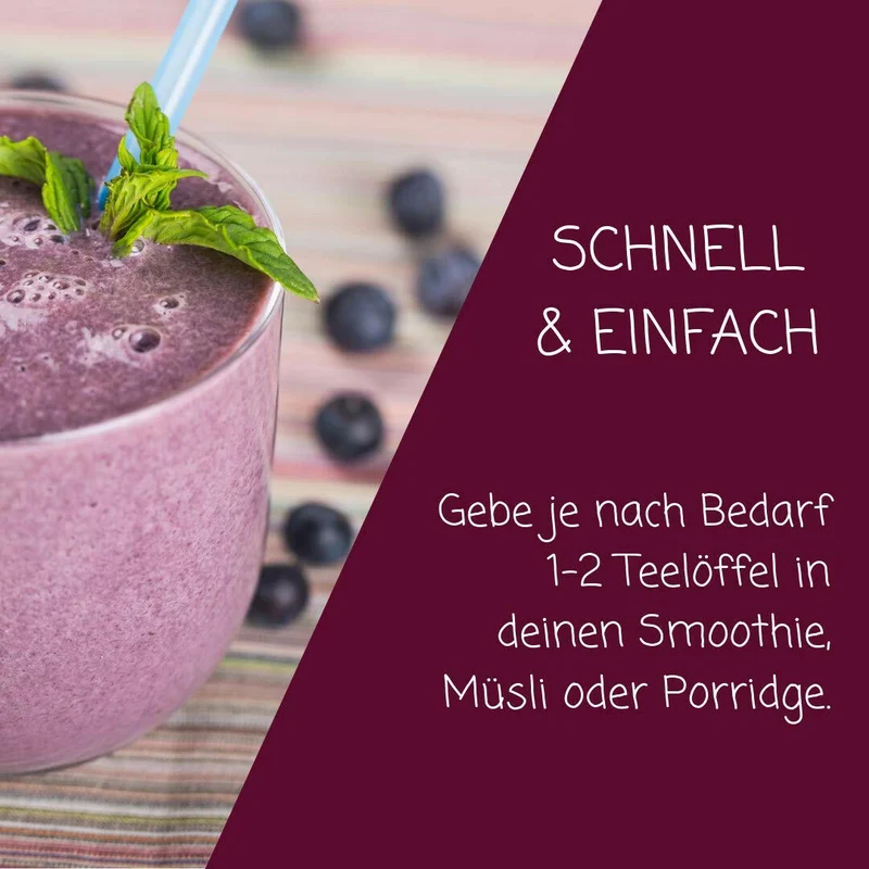 Wildheidelbeer Fruchtpulver