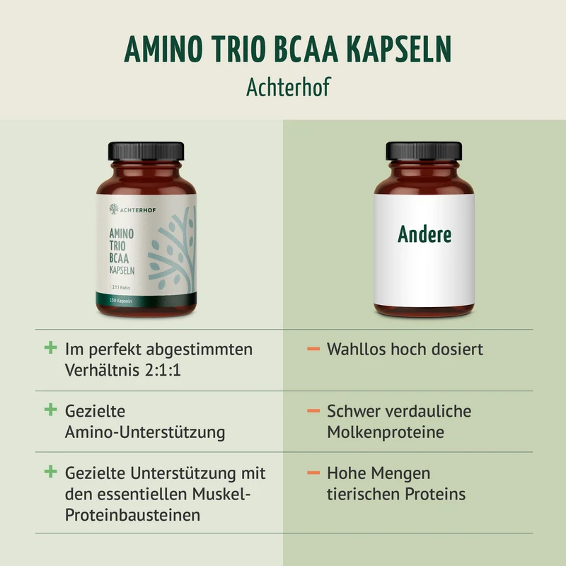 BCAA (120 Kapseln)
