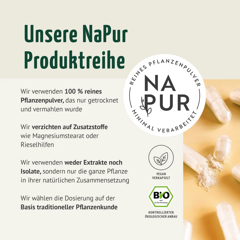 Ashwagandha Kapseln Bio (150 Kapseln)