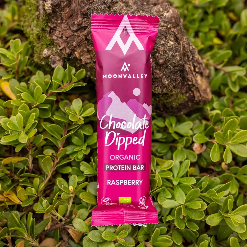 Organic Protein Bar - Chocolate-Dipped Raspberry 12-pack