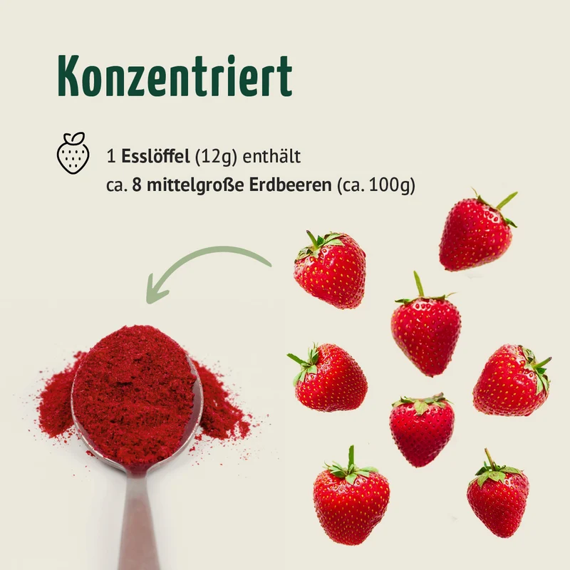 Bio Erdbeere Fruchtpulver (100g)