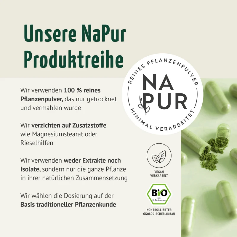 Moringa Kapseln Bio (150 Kapseln)