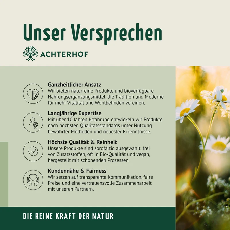 Fenchel Kümmel Kapseln (180 Kapseln)