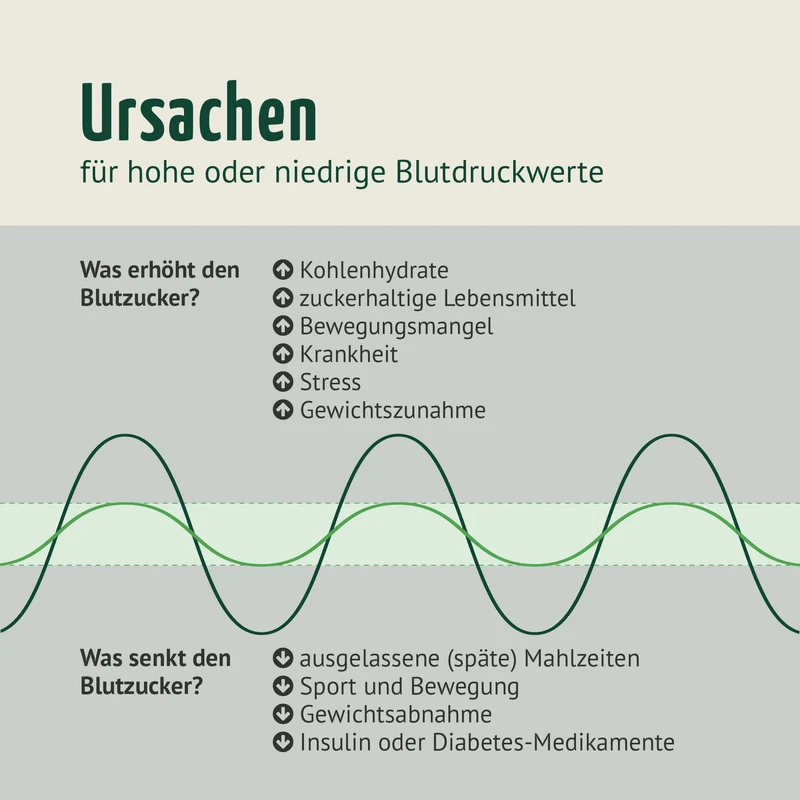 Blutzucker Komplex (120 Kapseln)