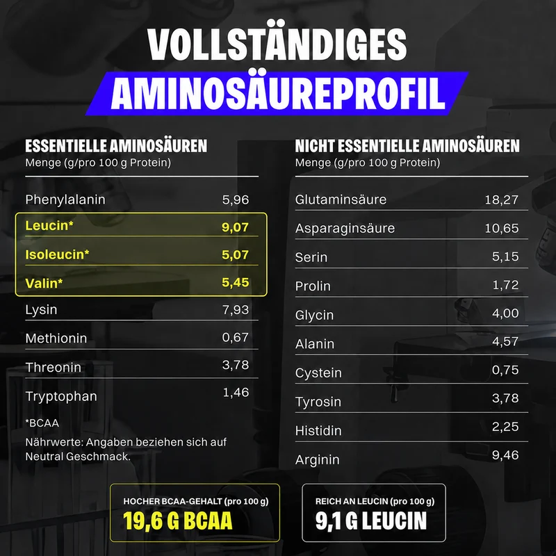 Vegan Protein (1000g)