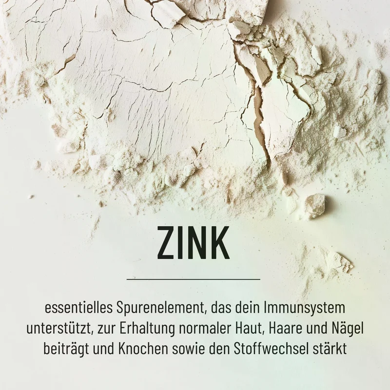 Zink Bisglycinat (365 Kapseln)