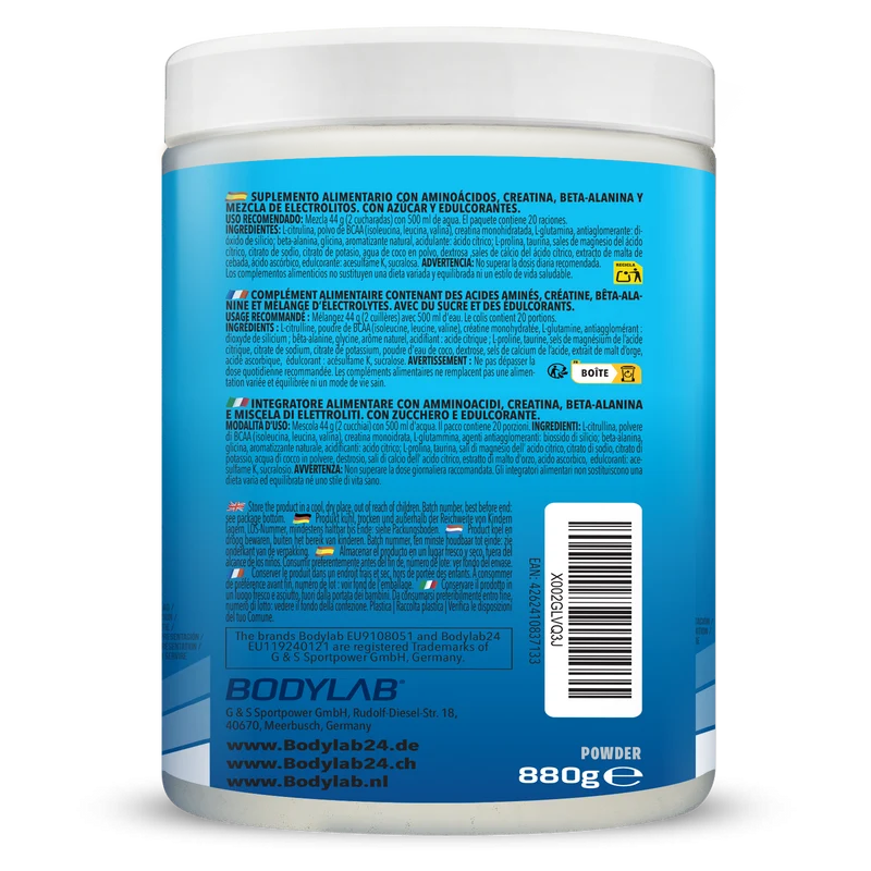 Daily Basic Powder Ice Tea Peach (880g)