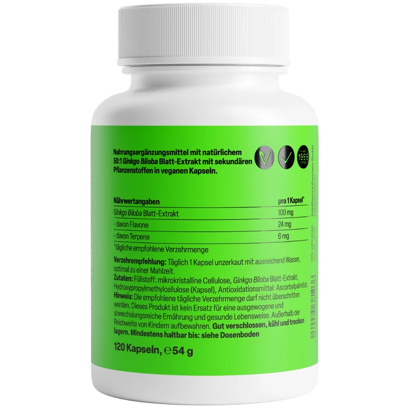 Ginkgo Biloba 100mg (120 Kapseln)