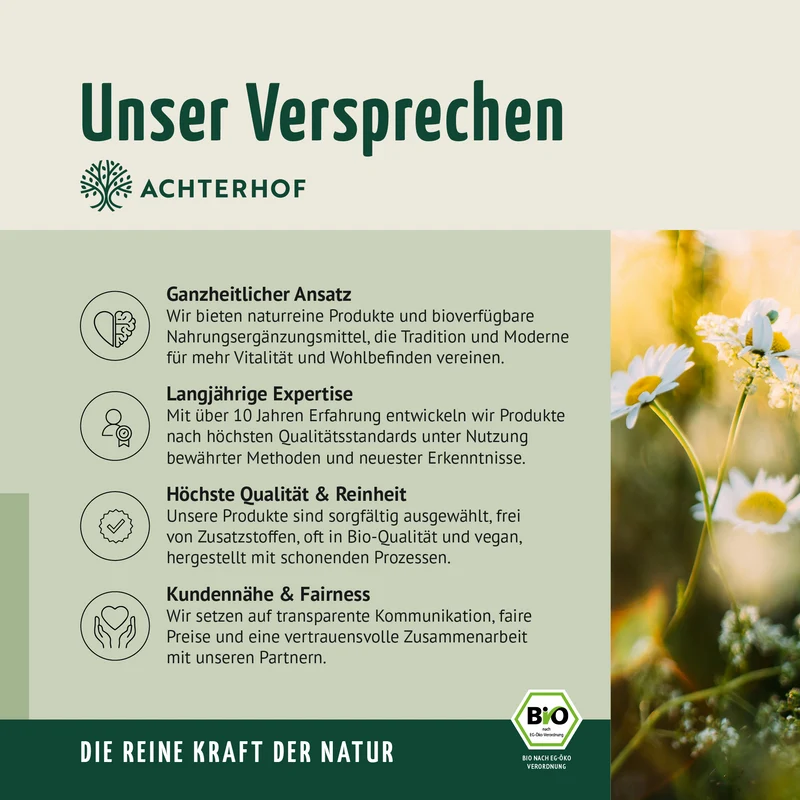 Bio Erbsenprotein Pulver (500g)