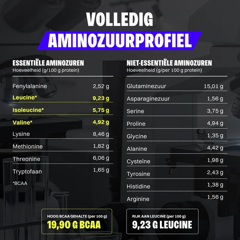 Whey Protein (1000g)