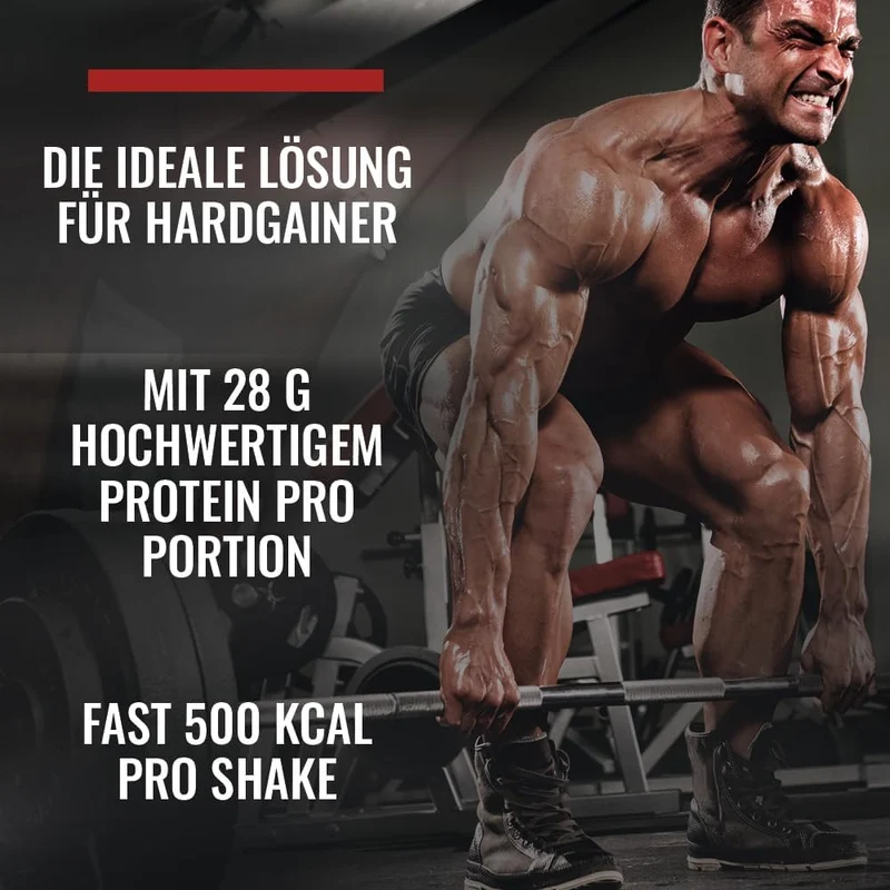 Mega Mass 4000 (3000g)