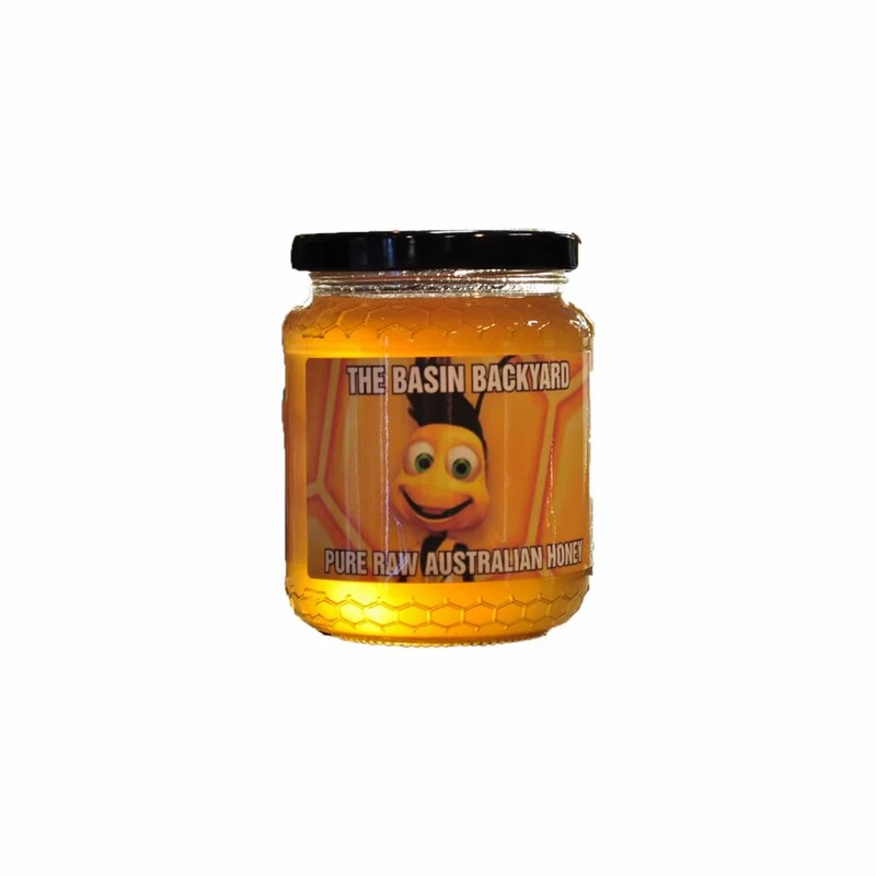 Pure Raw Aust Honey 500g